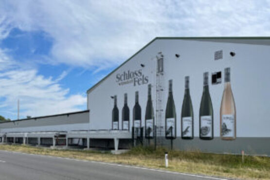 Weingut Schloss Fels_Fassadenbespannung_01